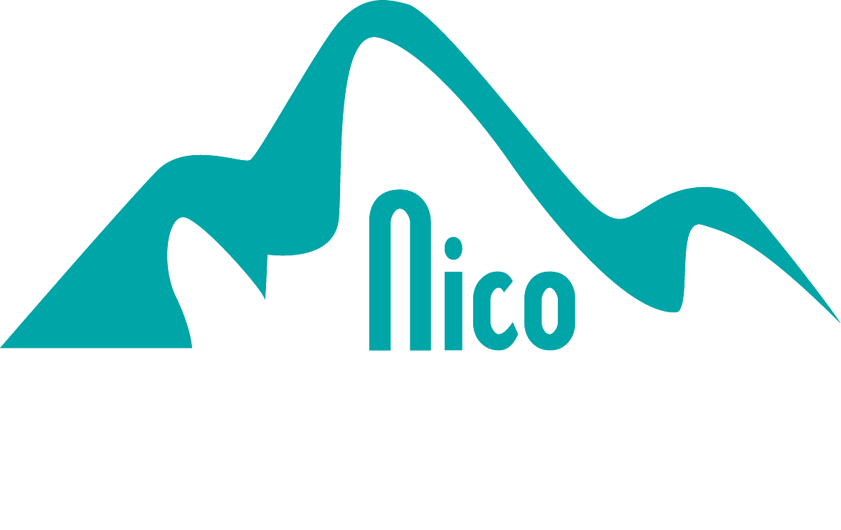 Logo Nico Ulbricht